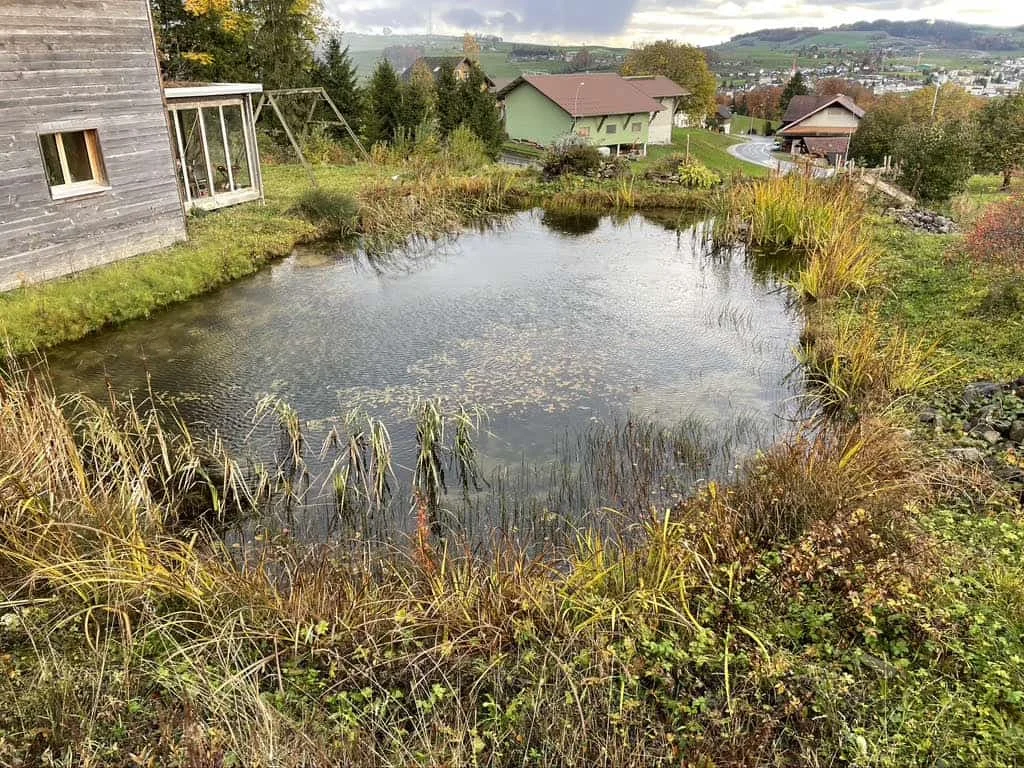 Wassermanagement