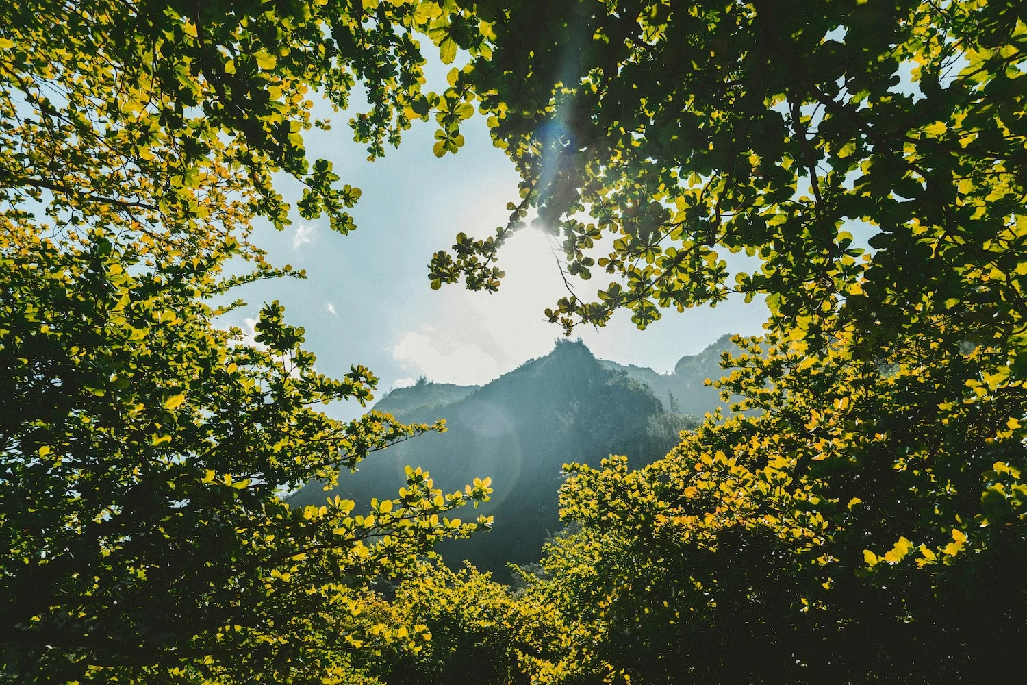 jakob-owens-mORI_wfWvLI-unsplash