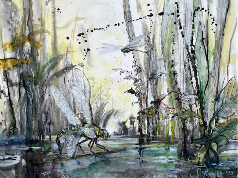 Stefan_Henke_Delightful_2019_Waldhaus-Lützelflüh