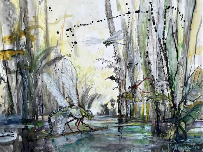 Stefan_Henke_Delightful_2019_Waldhaus-Lützelflüh